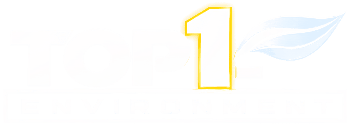 TOP1-ENVIRONMENT